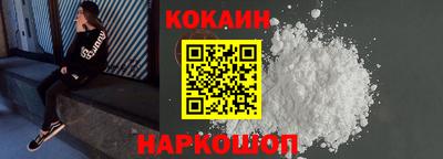 стафф Гатчина
