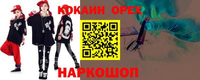 стафф Гатчина