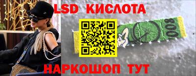 стафф Гатчина