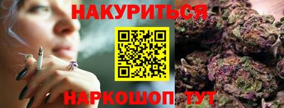 стафф Гатчина