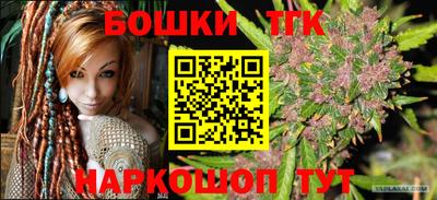 стафф Гатчина