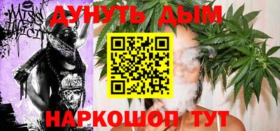 стафф Гатчина
