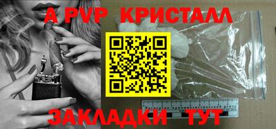 стафф Гатчина