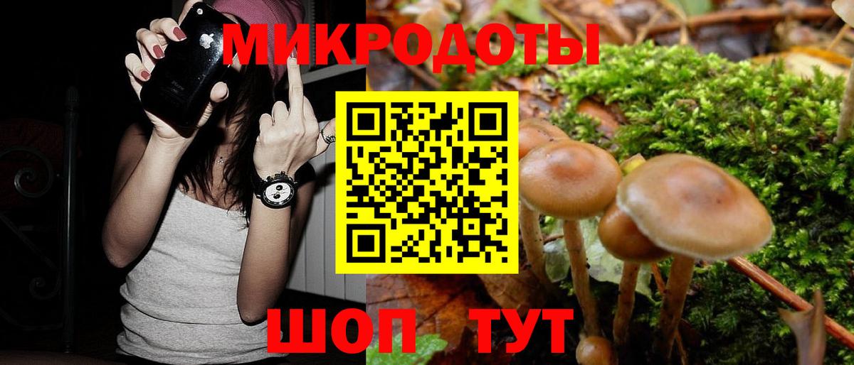 Псилоцибиновые грибы Cubensis  где продают   Щёлково  Вход с VPN  Галлюциногенные грибы мухоморы 
