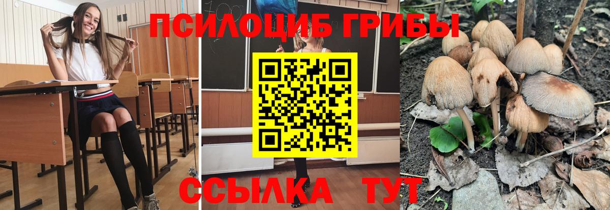 Галлюциногенные грибы Cubensis Щёлково